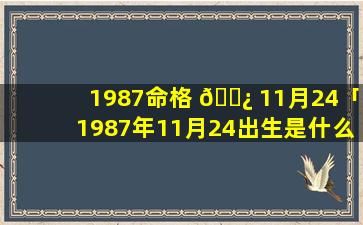 1987命格 🌿 11月24「1987年11月24出生是什么命 🐕 」